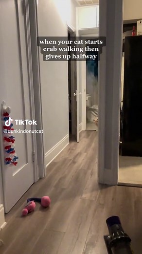 Cat Crab Walking: A Quirky Feline Behavior