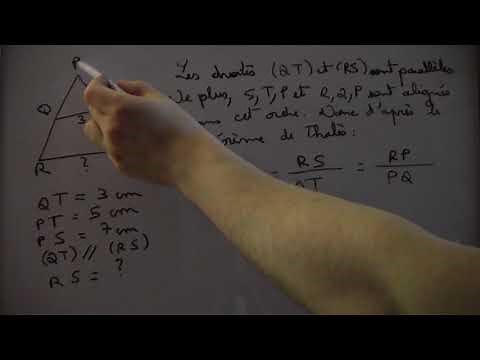 Thales' Theorem: Application Exercise No. 4