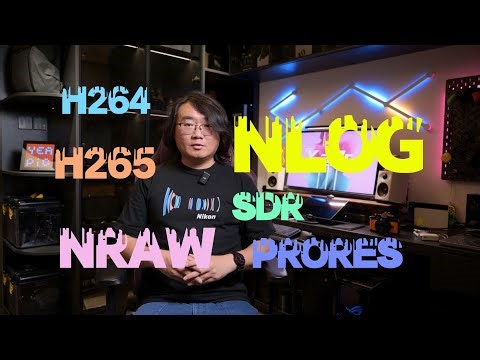 尼康全视频素材（NRAW Nlog）曝光及后期基础工作流详解
