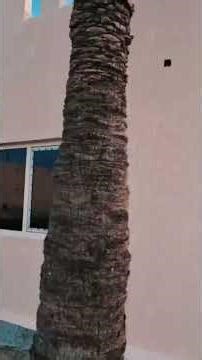 Aluminum Window Glass Fitting | Side Finish Work | Clean Installation Green metal circle