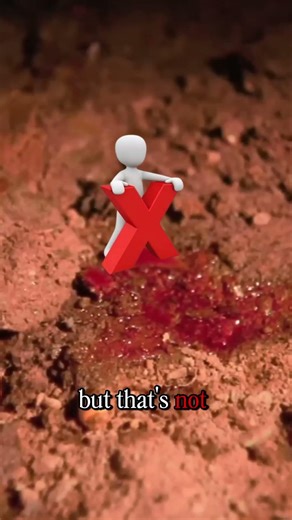 Vampire bats don’t feed the way you think.