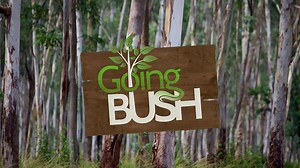 Watch Going Bush Online: Free Streaming & Catch Up TV in Australia