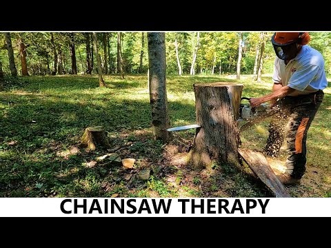 184 - Cutting Stumps With Stihl And Echo Chainsaws