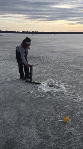 447K views · 2.8K reactions | About ready to bust out the homemade tip-downs for some pre-season TLC!Trevor and his dad have built all of the tip-downs we own with the rods coming from garage sales, broken rods, or even ones we’ve caught in the river. I will say they are probably one of my favorite tools Ice fishing to catch more fish! #icefishing #icefish #fishing #icefishingnation #Wisconsin #fishingtrip #outdoorliving #girlsfishingdaily | Krysten Potega | Facebook