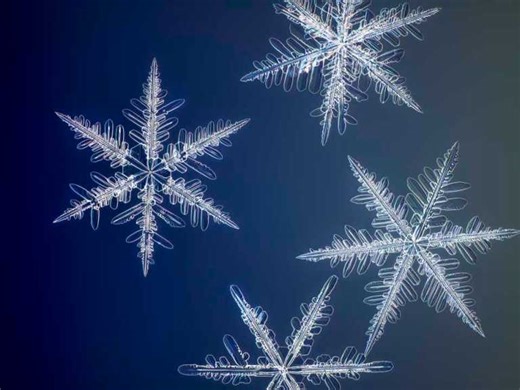 Photographer captures the most detailed images of snowflakes on record