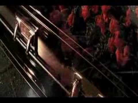 Death of Batman/Robin Reborn