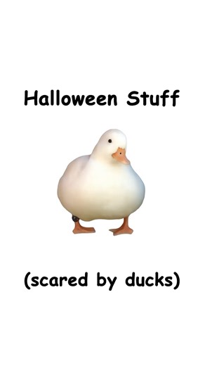 Halloween merch drop (link on channel)