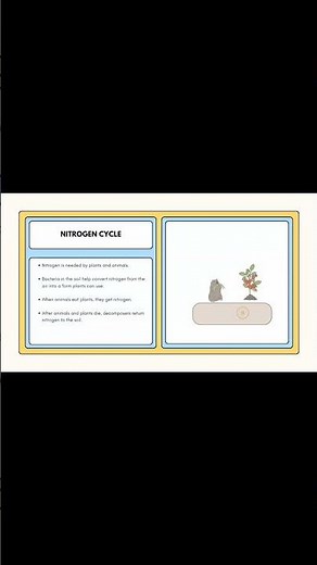 The Hidden Gas That Plants Can’t Live Without! 🌱⚡ | Nitrogen Cycle Part 3 #education