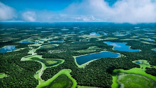 Pantanal: o que é, características, localização - Mundo Educação