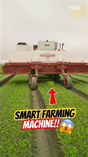 This farming machine is genius ⁉️😨 #highsandlows