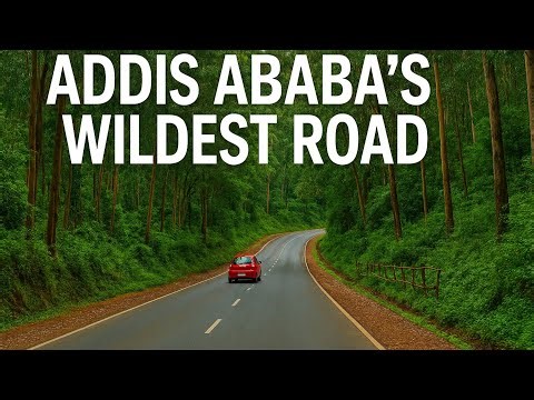 Descending Entoto Hill | Ethiopia’s Hidden Jungle Road Revealed