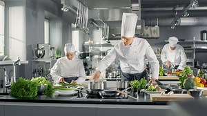 Delivery Terms & FAQ