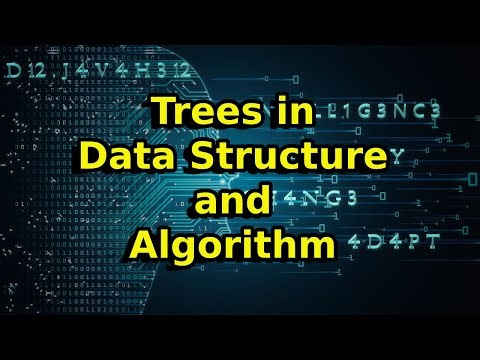 Tree in Data Structure and Algorithm