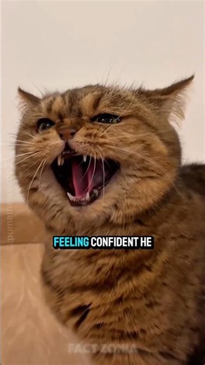 What happened next will shock you 😱🤣| #shorts #short #youtubeshorts