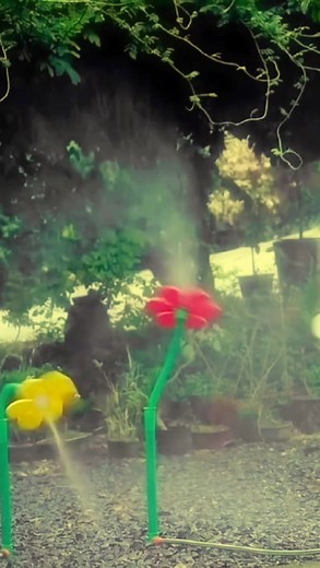 Funny Flowers Funn Compilation