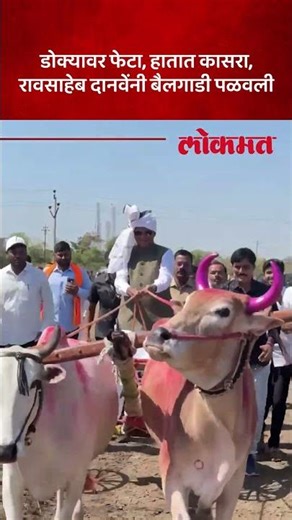 जालन्यात शंकरपट स्पर्धेत रावसाहेब दानवेंनी बैलगाडी पळवली.. पहा व्हिडीओ | Jalna | SP5