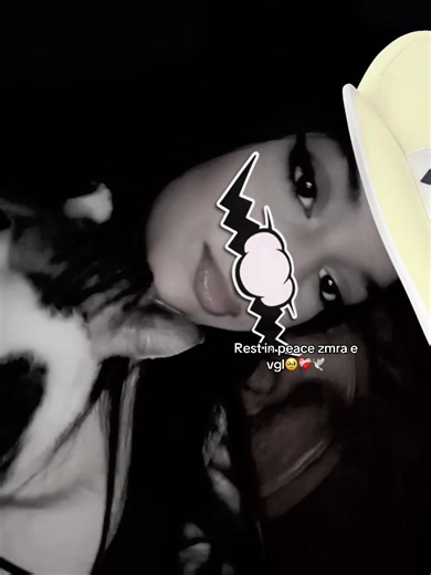 Honoring a Beloved Cat: Remembering a Dear Friend