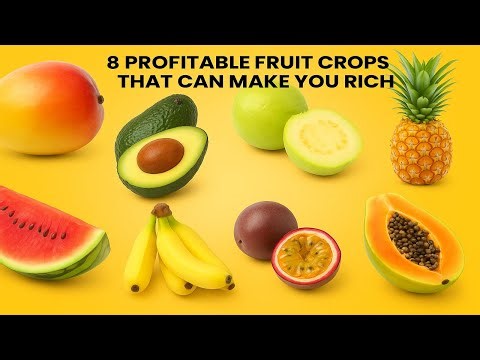 8 Profitable Fruit Crops That Can Make You Rich | Frubiqu Farming Guide