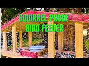 DIY. Squirrel Proof Bird Feeder.