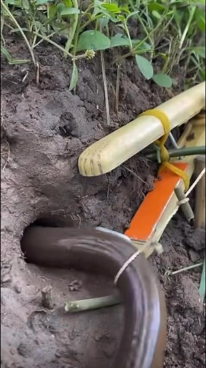 Out here, it’s just you, your skills, and nature 🌿🔥 Learn to survive anywhere, anytime. #SurvivalSkills” #SurvivalMode #WildernessSkills #Bushcraft #OutdoorLife #AdventureReady #NatureChallenge #SurvivalTraining #StayPrepared #OutdoorAdventure #WildSkills | Survival skill