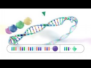 Expanding the Genetic Code: How Constructive Bio Is Rewriting Biology