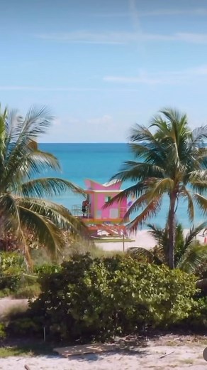 1.4K views · 41 reactions | Good Morning Miami ☀️ #miamilife...