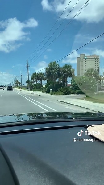 Picos Espinoza (@espinozapicos)’s videos with Vamos A La Playa - Los João