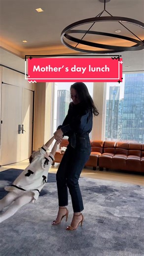 Dine on your own terms! The private room at Electric Lemon offers the most stunning views from the 25th floor of the equinox hotel in NYC. The kitchen offers a seasonal American farm to table cuisine that puts flavor at the forefront. #musttry #mothersdayspecial #bestrestaurantsnyc #foodie #reataurantlife #nycfood #nycfoodie #fyp #inspiration #reccomendation #privateevent #electriclemon