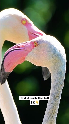 Ultimate OLED TV Test 💎 Can your screen handle this? #8k #tvtest