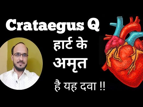 Crataegus Q Homeopathy Benefits and Uses in Hindi | Heart Tonic | Chronic Heart Disease Homeopathy