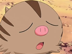 How do you evolve Swinub?