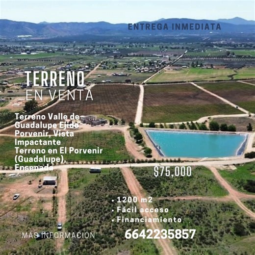 ¿Buscas invertir en el corazón vinícola de Baja California? Terrenos disponibles en Valle de Guadalupe, Ensenada: una zona con alto potencial turístico, gastronómico y ecológico. Ideal para casas de descanso, proyectos sustentables o desarrollos boutique. 📍 A solo horas de San Diego y Los Ángeles 📞 Asesoría legal, fiscal y sucesoria incluida Conviértete en parte del crecimiento de la región. ¡Contáctame hoy! 📲 Atención personalizada en español 🌐 WhatsApp | Messenger | Email 664 223 5857 sanc