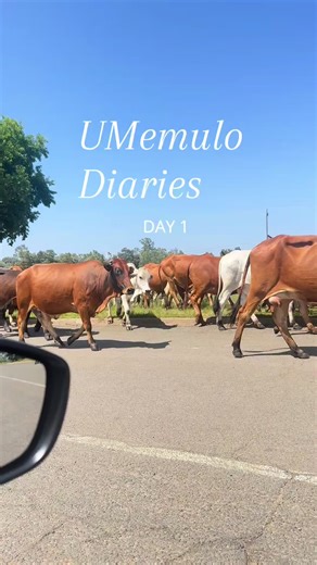 Exploring Umemulo Traditions in Zululand