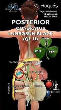 POSTERIOR QUADRATUS LUMBORUM BLOCK (QL2) #quadratuslumborum #backpain #backpainrelief