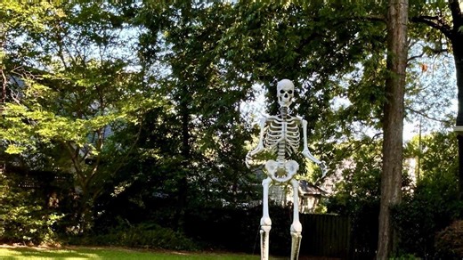 Halloween’s Over — But Your Neighbor’s Giant Skeleton Isn’t Going Anywhere