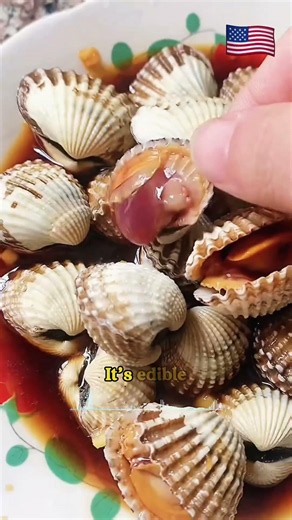 Can You Eat These Beach Finds?#OceanFood#BeachFinds#SeafoodFacts#OceanLife#FoodFacts#short