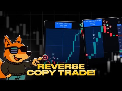 This Reverse Copy Trading Strategy Buys After the Dev Sells