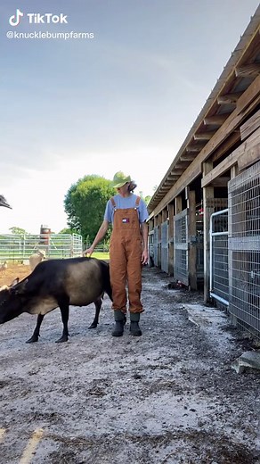 Another day, another Emmanuel don’t do it🤦🏼‍♀️its impossible to educate under these hostile work conditions #emu #emmanueltheemu #farmlife #choas