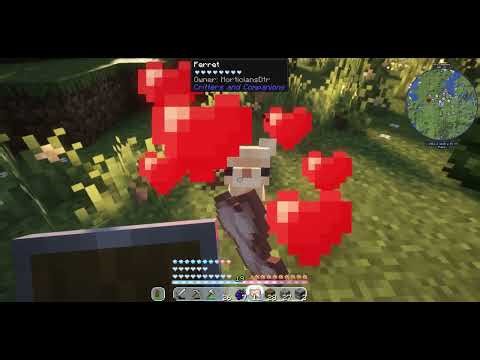 The art of not taming ferrets