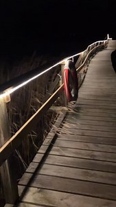 Swedish Forest Girl on Reels