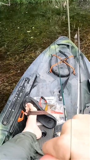 3.1K views · 32 reactions | pounder decided to slurp the . #topwaterfishing #topwaterexplosions #hollowbodyfrog #topwaterfrog #ladybirdlake #austintexas | Fishing Frog | Facebook