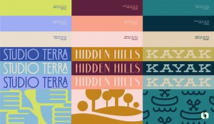 50 Logo Color Combinations to Inspire Your Design | Looka