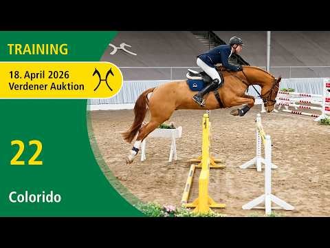 No. 22 Colorido by Camp Nou - Viscount | Verden Auction OnLive - Spring edition - April, 18