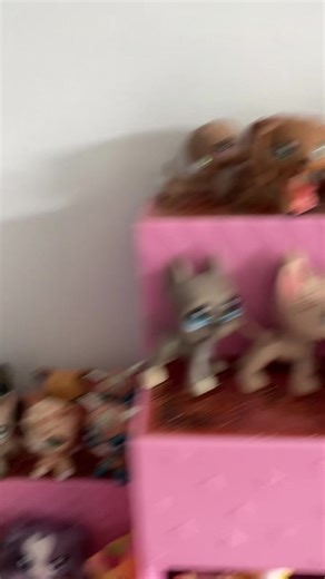 teraz tylko collie #no 😭👎🏻 #lps #lpstiktok #fyp #foryou #viralvideos #lpspop #lpscollector