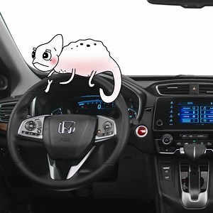 Build and Price | Honda Canada