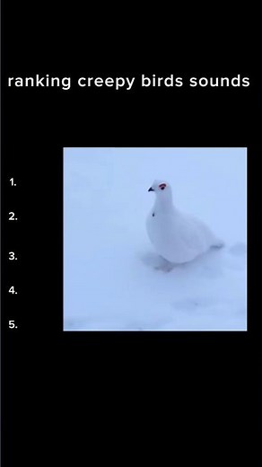 ranking creepy birds sounds 🫣