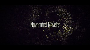 NOVEMBER NÖVELET | USELESS /// fan video