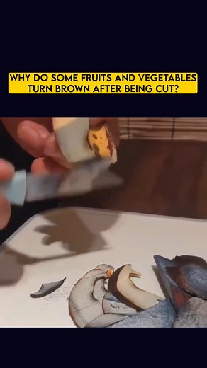 Science & Technology on Instagram: "When fruits and vegetables are cut, they often turn brown due to a chemical process called oxidation. This occurs when enzymes, particularly polyphenol oxidase, come into contact with oxygen and convert phenolic compounds into brown pigments. #oxygen #vegetable #fruit #reaction #chemistry #science"