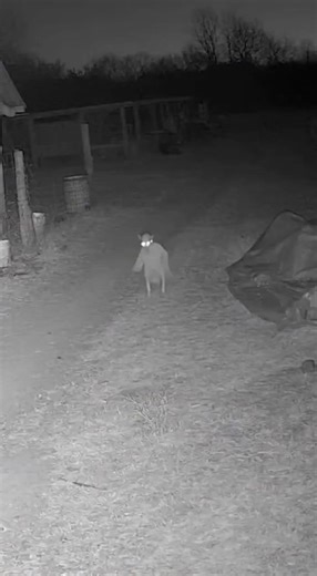 Real Ghost Recording: True Paranormal Encounters