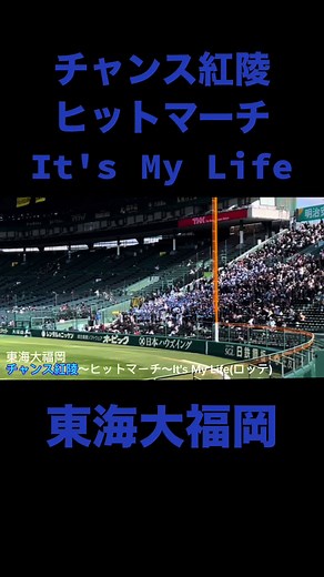 東海大福岡「チャンス紅陵」「ヒットマーチ」「It's My Life」 #高校野球 #甲子園 #応援 #センバツ #チャンス #チャンス紅陵 #itsmylife #東海大 #東海大福岡 #福岡